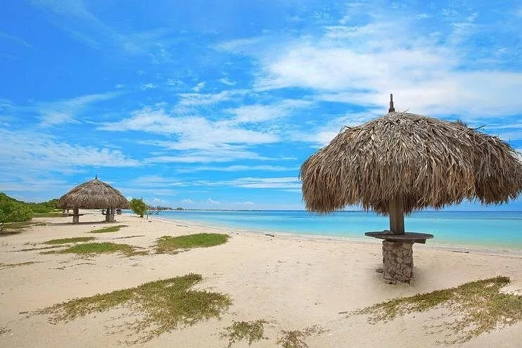 Palapa-Sonnenschirme an einem Strand auf Aruba