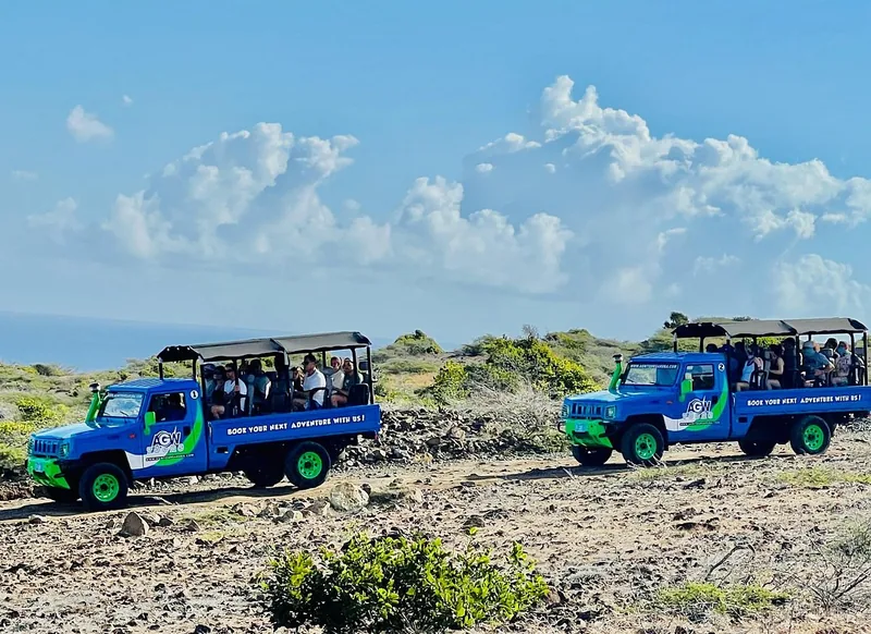 Due camion safari AGW parcheggiati su terreno roccioso dentro il parco