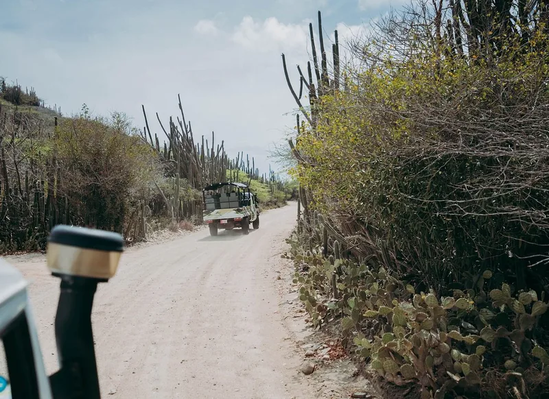 Un camino de tierra pedregoso en el Parque Nacional Arikok visto desde la parte delantera de un jeep
