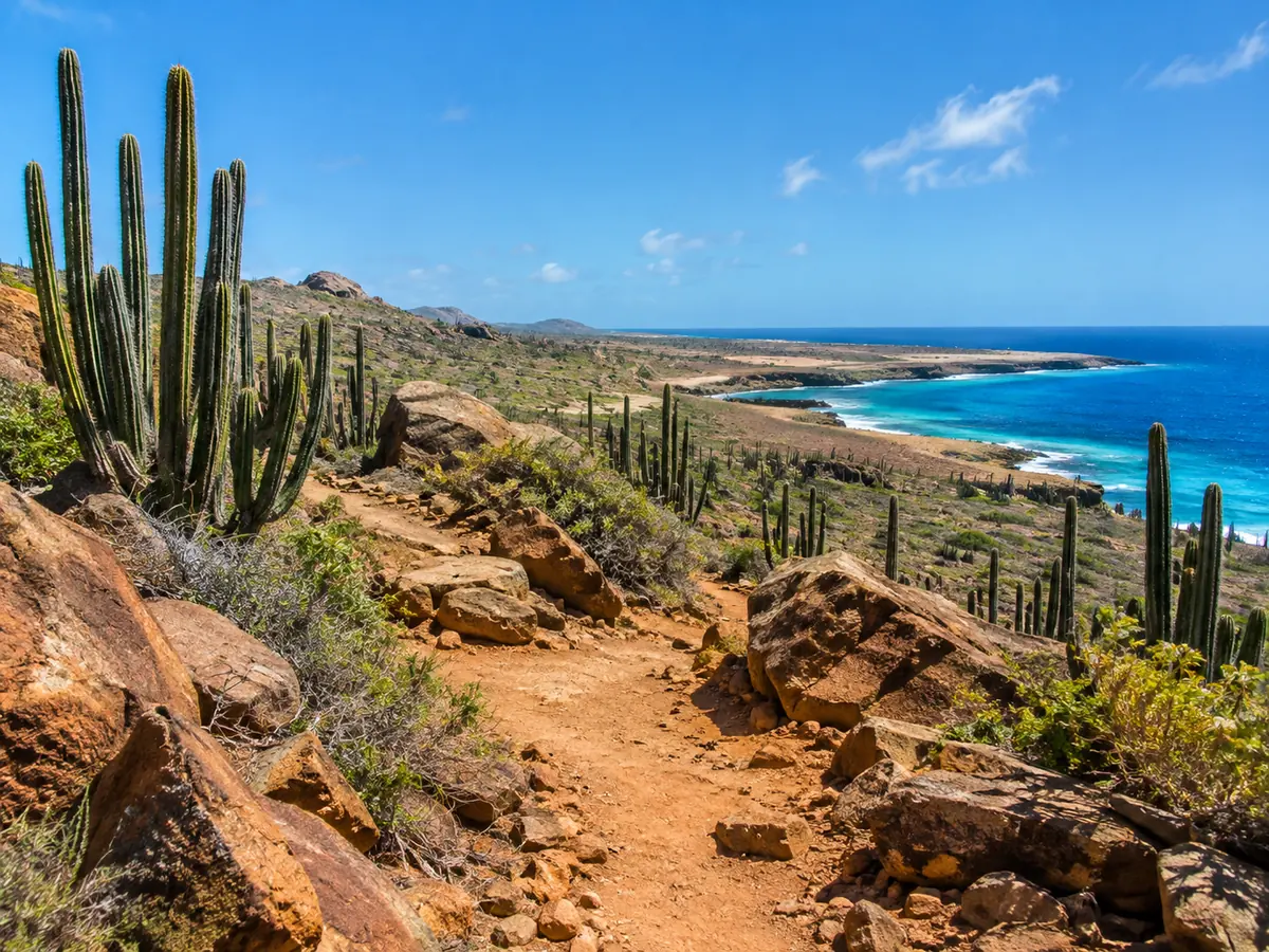 Un sentiero tra i cactus nel Parco Nazionale Arikok con il mare in lontananza